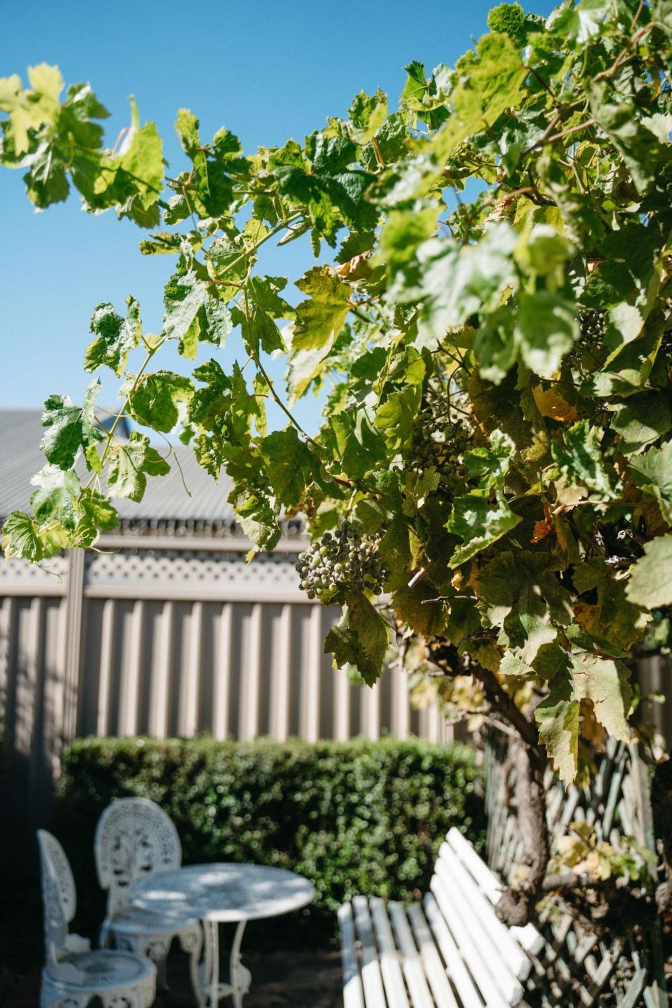 Langmeil Cottages Tanunda Dış mekan fotoğraf